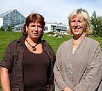 "Hvem skrives det om mat for? NTNU-forskerne Oddveig Storstad og Anne Haukenes tror media serverer dagens, uansett hva gjesten spør etter. (Foto: Tor H. Monsen/NTNU Info)" "Hvem skrives det om mat for? NTNU-forskerne Oddveig Storstad og Anne Haukenes tror media serverer dagens, uansett hva gjesten spør etter. (Foto: Tor H. Monsen/NTNU Info)"