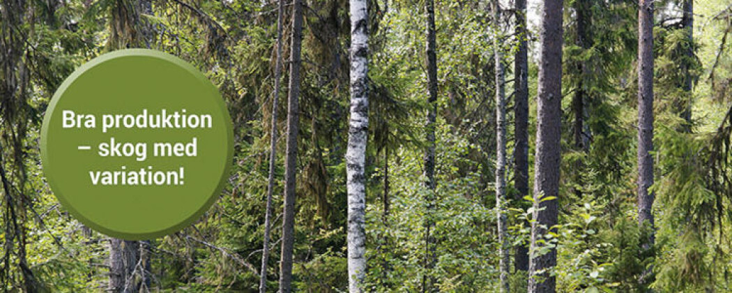 Skogsstyrelsens visjon er "Skog til nytta för alla". Skogsstyrelsens visjon er "Skog til nytta för alla".