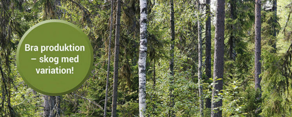 Skogsstyrelsens visjon er 'Skog til nytta för alla'.