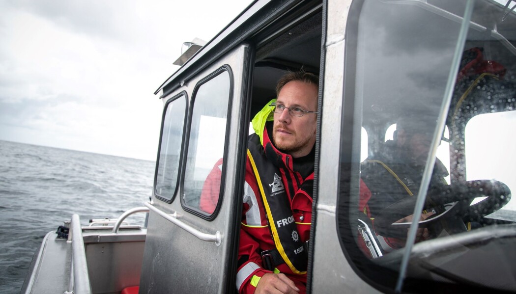 Havforsker Keno Ferter har merket fem pigghåer i sluttfasen av svangerskapet. Havforsker Keno Ferter har merket fem pigghåer i sluttfasen av svangerskapet.