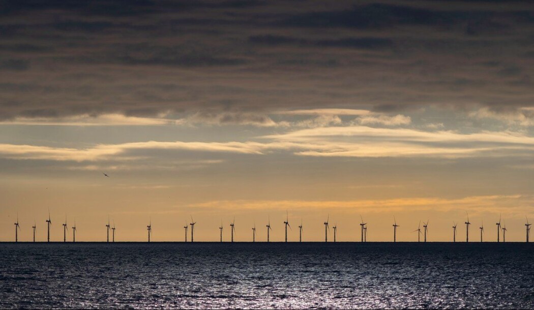 Forskarar veit enno lite om dei effektane vindkraft kan ha på miljø og økosystem i havet. Forskarar veit enno lite om dei effektane vindkraft kan ha på miljø og økosystem i havet.