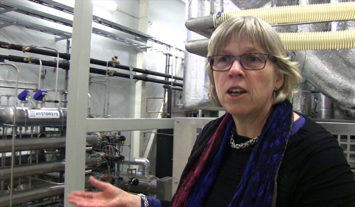 Bjørg Andresen, daglig leder i ZEG Power - Zero Emission Gas Power, i verdens første produserende forsøksanlegg med teknologi som produserer elektrisk strøm og hydrogen, samtidig som det kan hente ut CO2 fra prosessen. (Foto: Arnfinn Christensen, forskning.no) Bjørg Andresen, daglig leder i ZEG Power - Zero Emission Gas Power, i verdens første produserende forsøksanlegg med teknologi som produserer elektrisk strøm og hydrogen, samtidig som det kan hente ut CO2 fra prosessen. (Foto: Arnfinn Christensen, forskning.no)