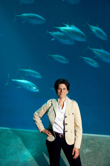 Professor Barbara Block har forsket på de største rovfiskene i mer enn tjue år. (Foto: Bart Michiels, Rolex Awards) Professor Barbara Block har forsket på de største rovfiskene i mer enn tjue år. (Foto: Bart Michiels, Rolex Awards)