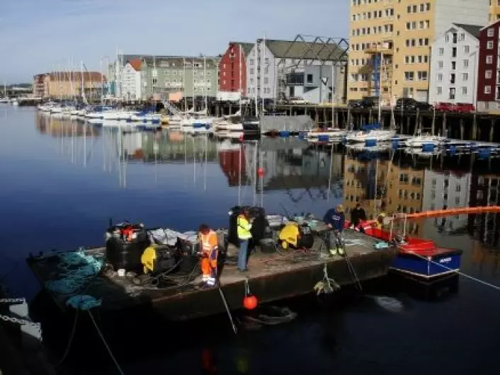 "Utlegging av aktivt kull ved å pumpe det ned i bunnen av kanalen i Trondheim fra flåte. (Foto: NGI)"