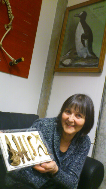 Ann Karin Hufthammer. (Foto: Andreas R. Graven) Ann Karin Hufthammer. (Foto: Andreas R. Graven)
