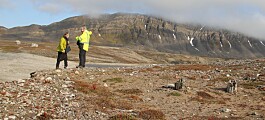 Gammel jakthytte på Svalbard forsvinner