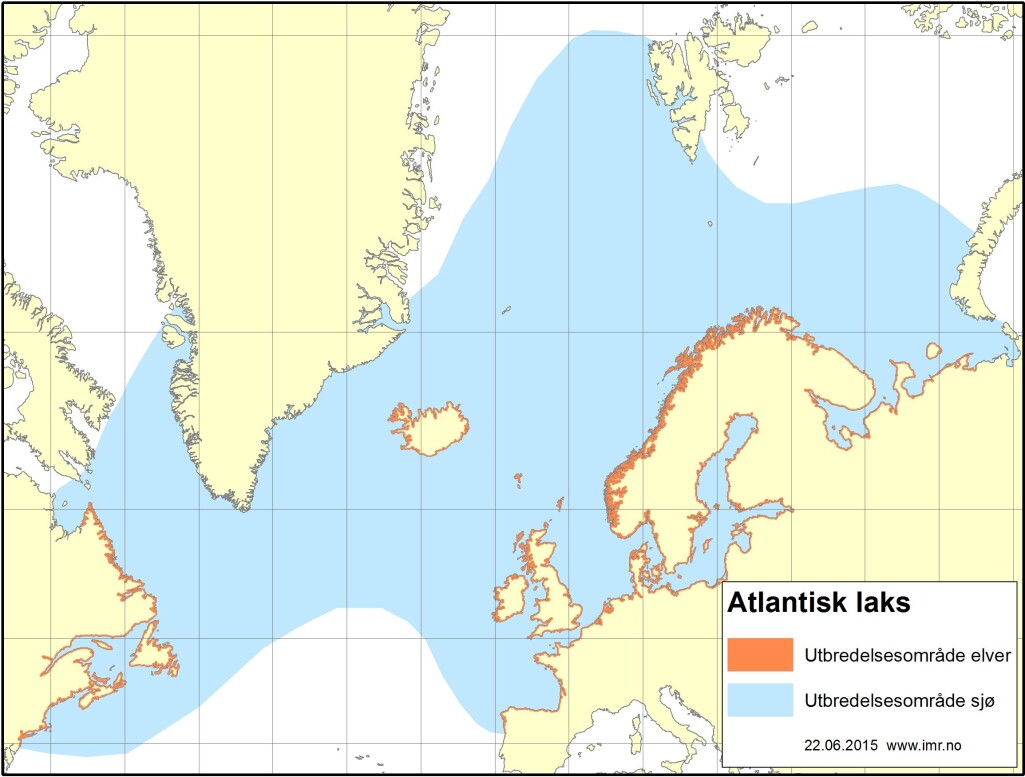 Villaksen har store deler av Nord-Atlanteren som sitt utbredelsesområde. Villaksen har store deler av Nord-Atlanteren som sitt utbredelsesområde.