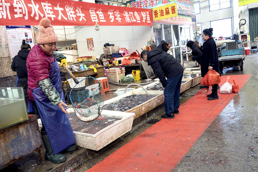Fiskemarkedet i Langfang i Kina. Fiskemarkedet i Langfang i Kina.