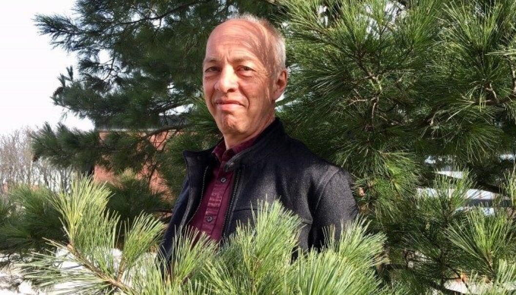 Hjernen får hvile når vi er ute i naturen, sier Halvor Eifring Hjernen får hvile når vi er ute i naturen, sier Halvor Eifring