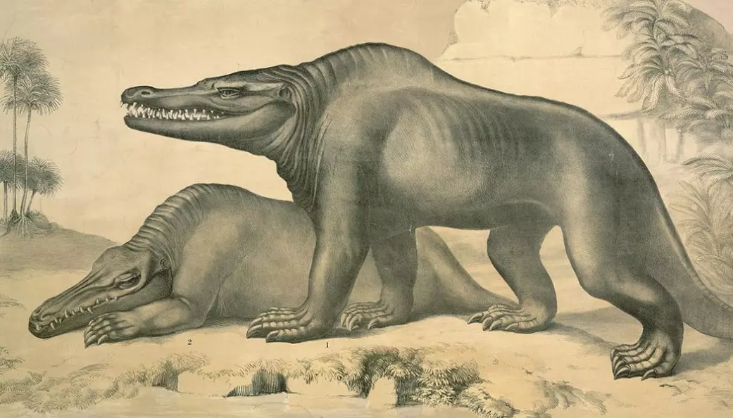I begynnelsen hadde forskerne lite å gå etter. Her er en tidlig tegning av Megalosaurus. Senere viste det seg at den var tobeint jeger.