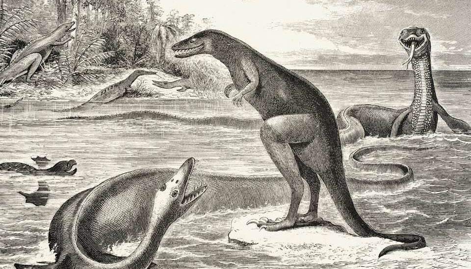 Edward Copes tegning av den første rovdinosauren som ble funnet, Dryptosaurus.