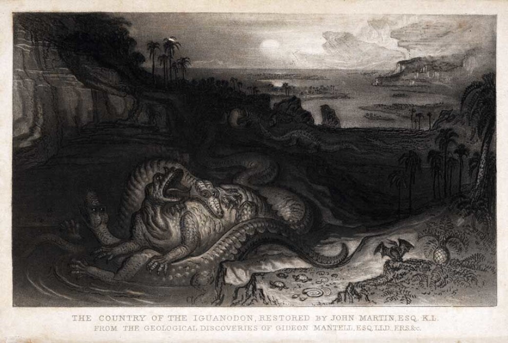 En tidlig kunstnerisk fremstilling av Iganodon og Megalosaurus i kamp. En tidlig kunstnerisk fremstilling av Iganodon og Megalosaurus i kamp.