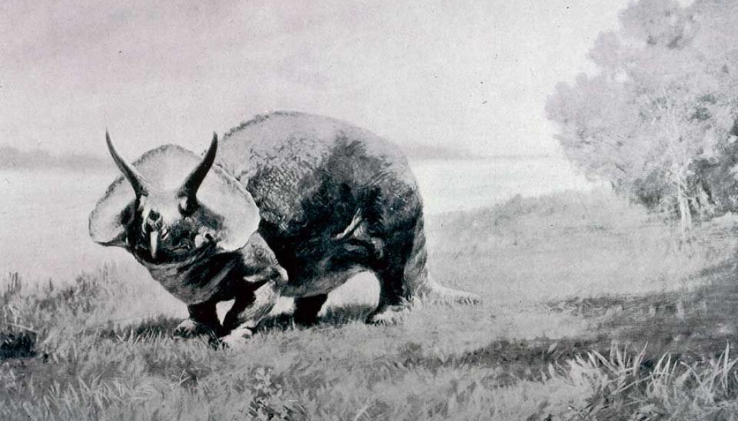 En livaktig Triceratops malt av Charles Knight i 1901. En livaktig Triceratops malt av Charles Knight i 1901.