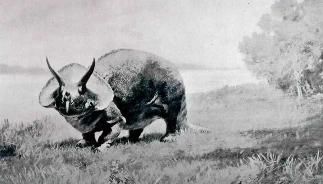 En livaktig Triceratops malt av Charles Knight i 1901.