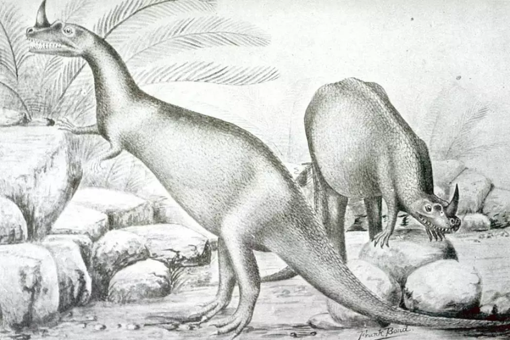 Slik så kunstneren for seg rovdinosauren Ceratosaurus i 1899. Navnet betyr hornøgle.