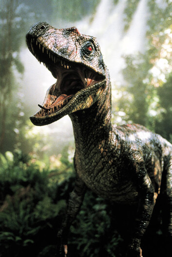 Velociraptoren vare en av de mest skremmende dinosaurene i Jurassic Park. I virkeligheten veide den knapt 15 kilo, mindre enn en moderne kalkun. (Foto: UiP) Velociraptoren vare en av de mest skremmende dinosaurene i Jurassic Park. I virkeligheten veide den knapt 15 kilo, mindre enn en moderne kalkun. (Foto: UiP)