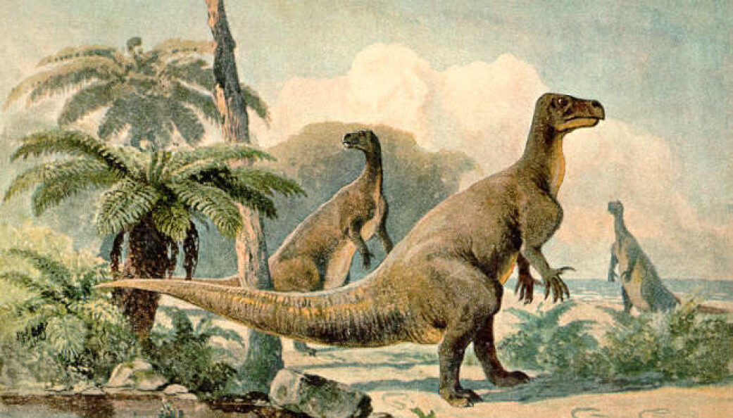 Iguanodoner var kraftige planteetere som kunne stå både på alle fire og på to bein. Iguanodoner var kraftige planteetere som kunne stå både på alle fire og på to bein.