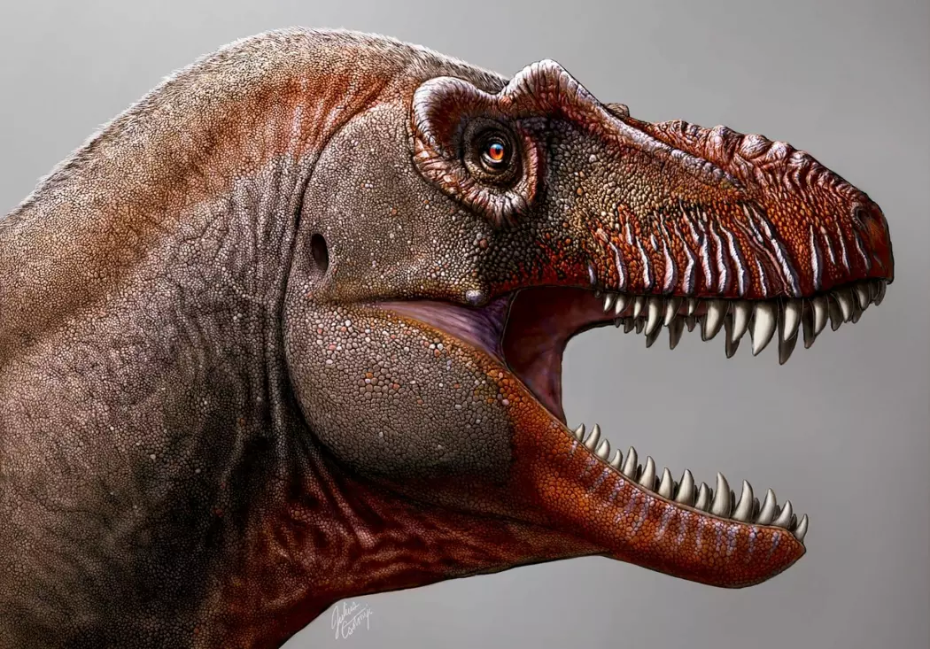 Nylig ble det meldt om funnet av en av Tyranosaurus rex sine forgjengere, "dødsinnhøsteren", eller Thanatotheristes degrootorum. Slik ser kunstneren Julius Scotonyi for seg at den så ut.