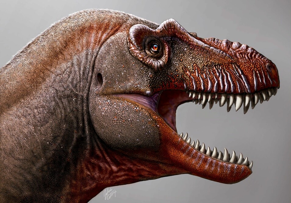Nylig ble det meldt om funnet av en av Tyranosaurus rex sine forgjengere, 'dødsinnhøsteren', eller Thanatotheristes degrootorum. Slik ser kunstneren Julius Scotonyi for seg at den så ut.