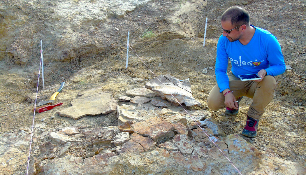 Paleontologen Edwin Cadena undersøker fossilet av et gigantisk skilpaddeskall. Paleontologen Edwin Cadena undersøker fossilet av et gigantisk skilpaddeskall.