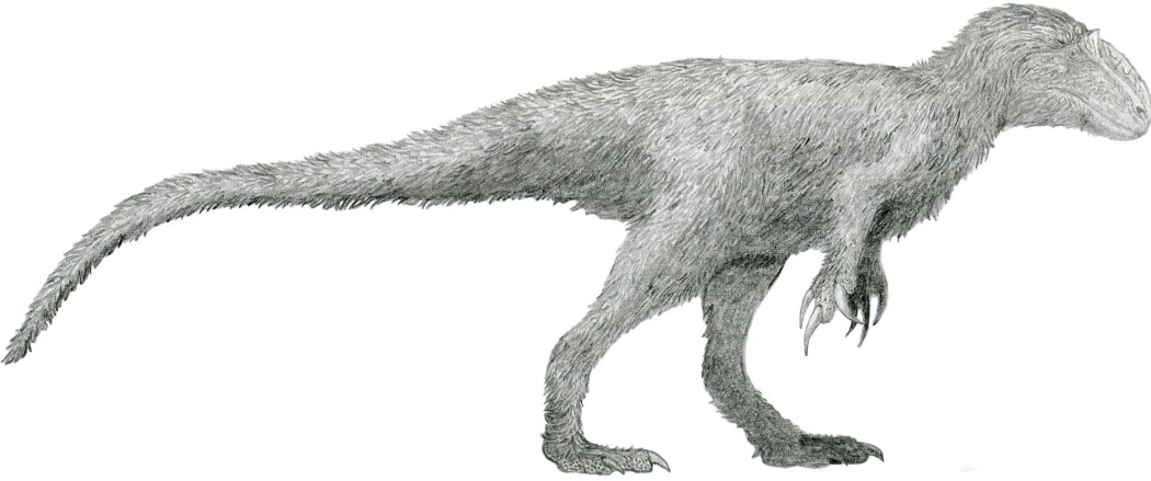 Yutyrannus var en lodden tyrannosauroid. Yutyrannus var en lodden tyrannosauroid.