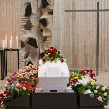 (Foto: www.colourbox.com) (Foto: www.colourbox.com)