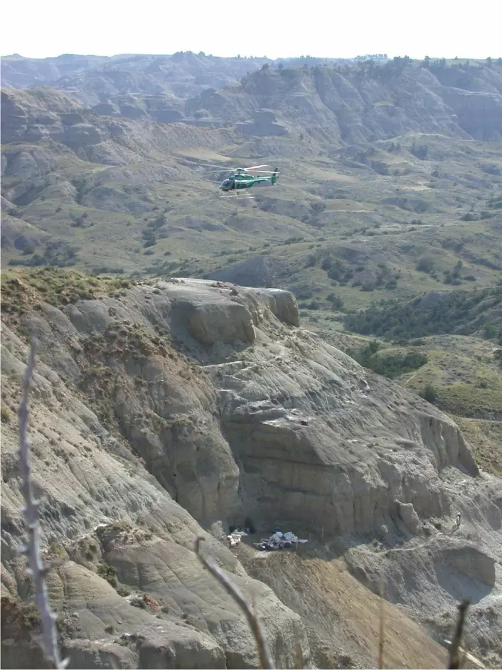"Utgravingsstedet ved Hell Creek i Montana. Paleontologene måtte grave seg gjennom rundt 1 000 kubikkmeter sandstein."
