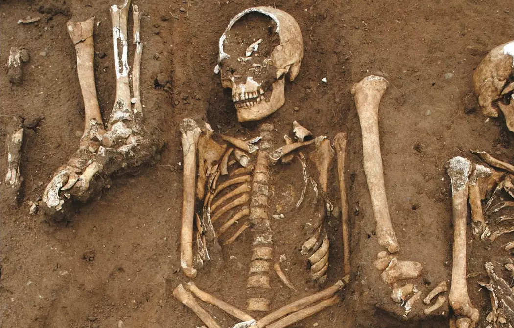 En av ofrene fra massegraven ved Thornton Abbey.