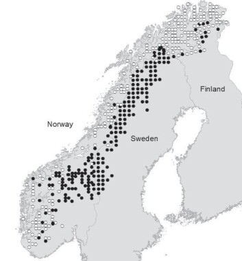 Områdene i den Fennoskandiske fjellkjeden som inngår i denne studien er her merket med svarte sirkler. (Foto: (Illustrasjon: Nina)) Områdene i den Fennoskandiske fjellkjeden som inngår i denne studien er her merket med svarte sirkler. (Foto: (Illustrasjon: Nina))