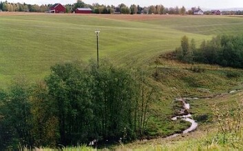 Fra et av stedene forskerne har tatt prøver. (Foto: Bioforsk) Fra et av stedene forskerne har tatt prøver. (Foto: Bioforsk)