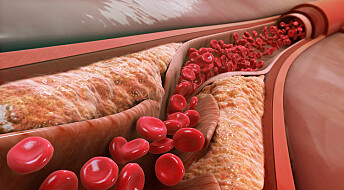 Blodpropp-enzym kan vere del av kroppen sitt forsvarssystem