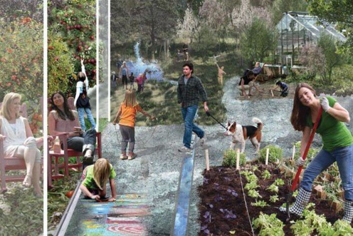 Økologi, nærmiljø og felles utnyttelse av ressurser en sentral del av Brøset. Slik har planleggere sett for seg kjøkkenhagene. (Foto: (Illustrasjon: SLA)) Økologi, nærmiljø og felles utnyttelse av ressurser en sentral del av Brøset. Slik har planleggere sett for seg kjøkkenhagene. (Foto: (Illustrasjon: SLA))