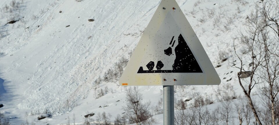 Steinsprang er den typen skred som forekommer hyppigst på norske veier, og som ødelegger og koster mest. Colourbox