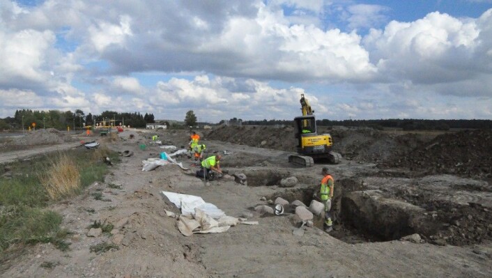 Arkeologer undersøker den nesten en kilometer lange raden hvor det en gang har stått stolper. (Foto: Riksantikvarieämbetet) Arkeologer undersøker den nesten en kilometer lange raden hvor det en gang har stått stolper. (Foto: Riksantikvarieämbetet)