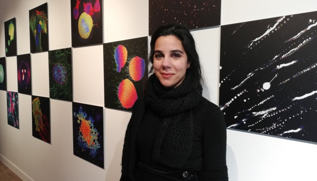 Irep Gözen viser frem fargerike bilder fra mikroskopet. Irep Gözen viser frem fargerike bilder fra mikroskopet.