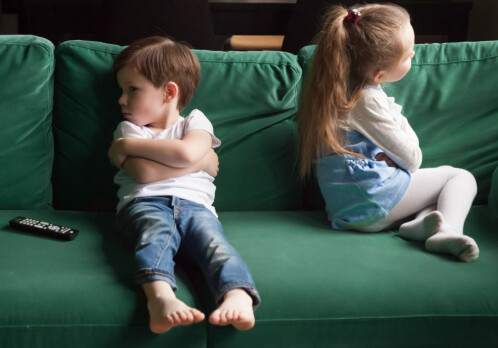 Foster parents' own children are the forgotten children in child welfare services