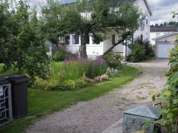 Regnbed på 7 kvadretmeter i privat hage i Oslo. Det er anlagt på leirjord og er drenert. Regnbedet mottar takvann fra huset. (Foto: Bent Braskerud/NVE) Regnbed på 7 kvadretmeter i privat hage i Oslo. Det er anlagt på leirjord og er drenert. Regnbedet mottar takvann fra huset. (Foto: Bent Braskerud/NVE)