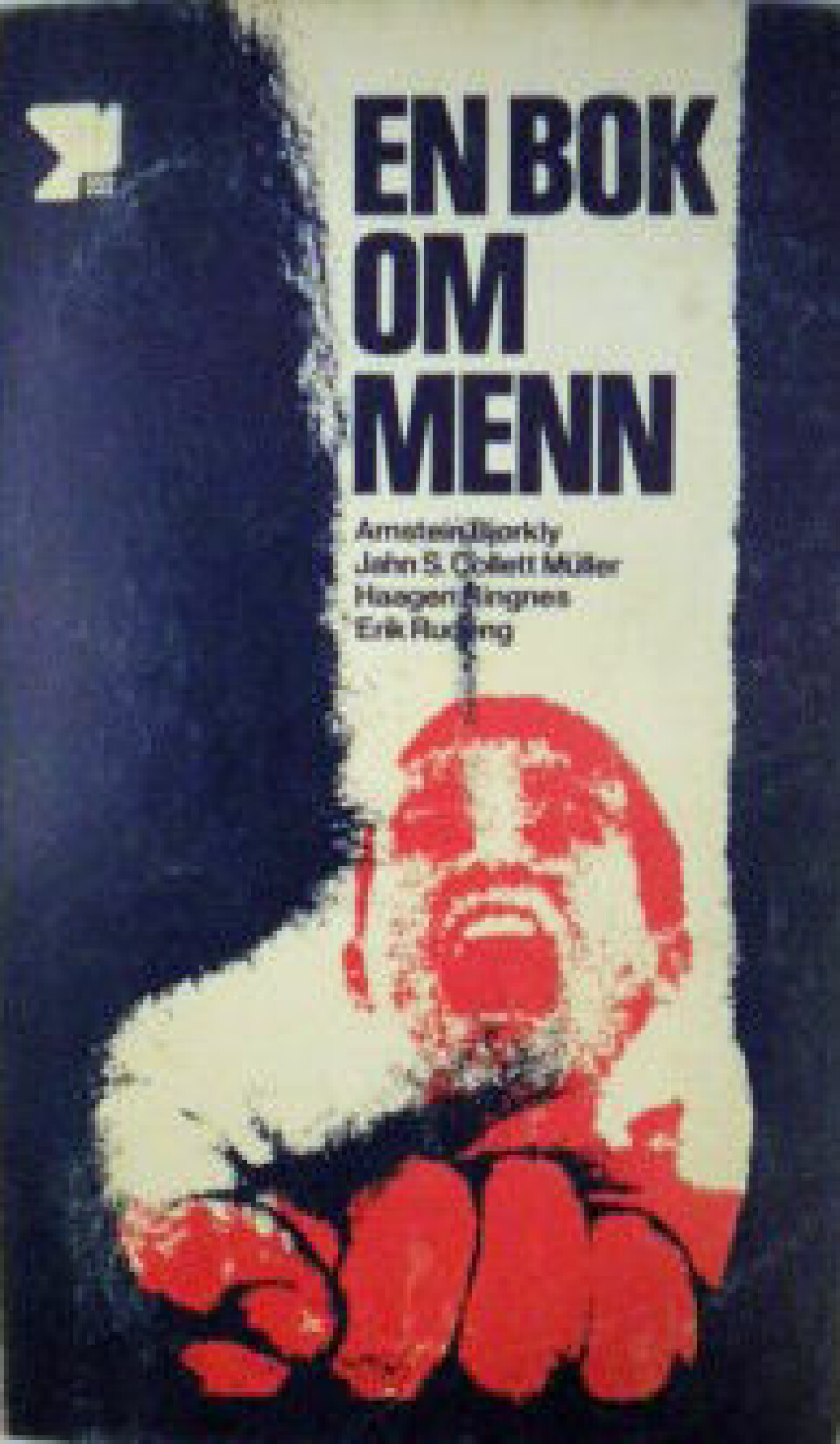 En bok om menn kom ut i 1976 og ble solgt i over 10 000 eksemplarer. (Omslagsfoto: Pax)