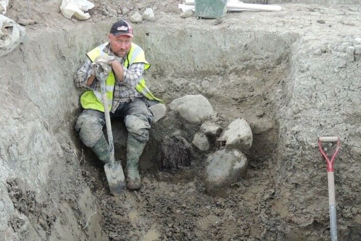 Arkeologen Fredrik Thölin sitter inntil et fundament hvor den over 1500 år gamle trestolpen fortsatt er bevart. (Foto: Upplandsmuseet) Arkeologen Fredrik Thölin sitter inntil et fundament hvor den over 1500 år gamle trestolpen fortsatt er bevart. (Foto: Upplandsmuseet)