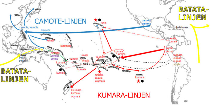 Kartet viser de tre spredningslinjene for søtpotet: Kumara-linjen, ca. år 1100, Camote-linjen (spanske skip) og Batata-linjen (portugisiske skip) på begynnelsen av 1500-tallet. (Foto: (Figur: Caroline Roullier/PNAS)) Kartet viser de tre spredningslinjene for søtpotet: Kumara-linjen, ca. år 1100, Camote-linjen (spanske skip) og Batata-linjen (portugisiske skip) på begynnelsen av 1500-tallet. (Foto: (Figur: Caroline Roullier/PNAS))