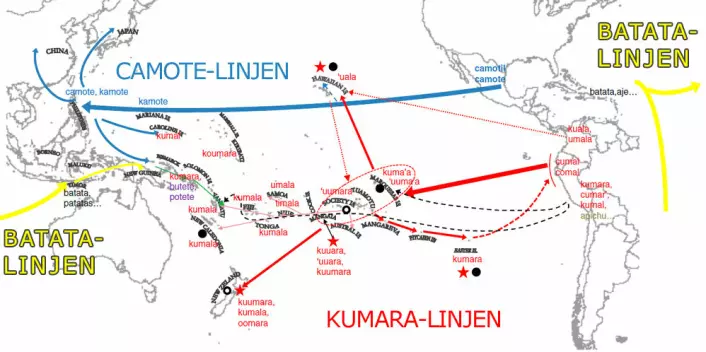 Kartet viser de tre spredningslinjene for søtpotet: Kumara-linjen, ca. år 1100, Camote-linjen (spanske skip) og Batata-linjen (portugisiske skip) på begynnelsen av 1500-tallet. (Foto: (Figur: Caroline Roullier/PNAS))