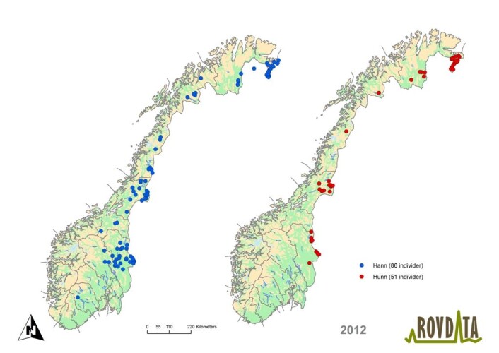 Kartet gir en oversikt over 137 brunbjørn som ble registrert i Norge i 2012, fordelt på 86 hannbjørner (blå prikker) og 51 hunnbjørner (røde prikker). Et midtpunkt er vist for individer som er påvist med mer enn en DNA-prøve. Kartet gir en oversikt over 137 brunbjørn som ble registrert i Norge i 2012, fordelt på 86 hannbjørner (blå prikker) og 51 hunnbjørner (røde prikker). Et midtpunkt er vist for individer som er påvist med mer enn en DNA-prøve.