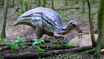 Maiasaura var en planteetende nebbdinosaur. Navnet betyr "God mor reptil". Den ble oppdaget i 1978 og fikk navnet fordi funnet var det første beviset på at noen dinosaurer tok vare på sine små etter de var klekket.