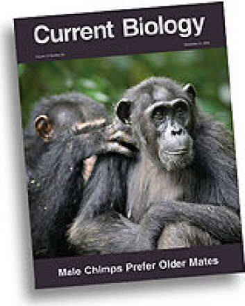 "Forside Current Biology. Foto: Jean-Michel Krief" "Forside Current Biology. Foto: Jean-Michel Krief"