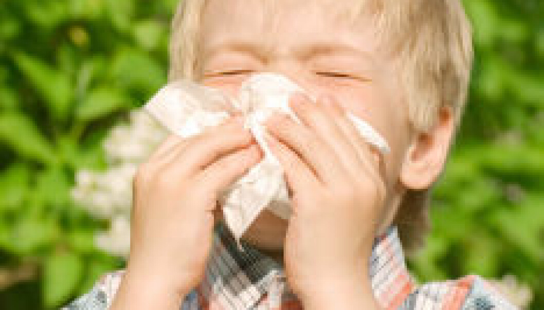 Bakterier hindrer allergi