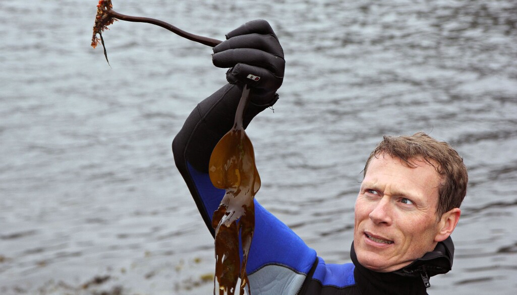 Havforsker og matnerd Arne Duinker har for vane å spise det han finner i sjøen. Havforsker og matnerd Arne Duinker har for vane å spise det han finner i sjøen.