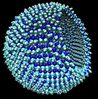 En datamodell av den hypotetiske cellemembranen azotosome. Den er 9 nanometer stor, på størrelse med et virus. En datamodell av den hypotetiske cellemembranen azotosome. Den er 9 nanometer stor, på størrelse med et virus.
