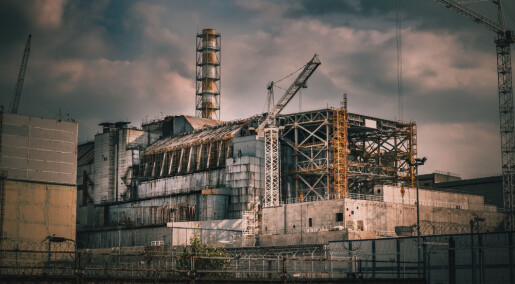 Sopp i Tsjernobyl «elsker» radioaktivitet
