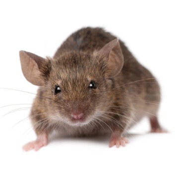 (Illustrasjonsfoto: iStockphoto) (Illustrasjonsfoto: iStockphoto)