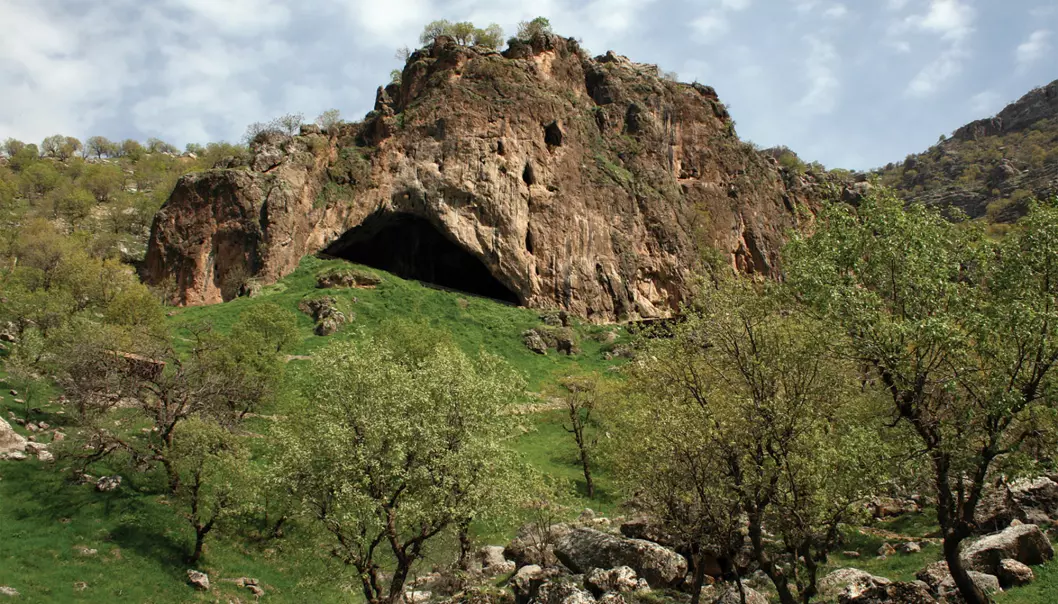Dette er Shanidar-hulen i nordlige Irak, hvor det har blitt funnet flere levninger etter neandertalere.